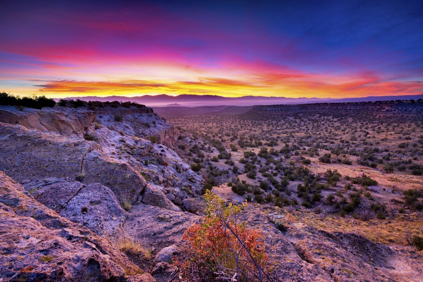 Mesa Tax Law Albuquerque NM licensed tax attorneys and enrolled agents resolving IRS debt remotely